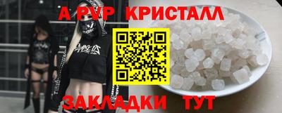 крисы Можга