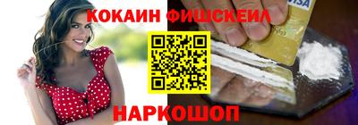 крисы Можга