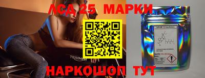 крисы Можга