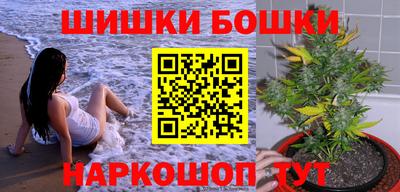 крисы Можга