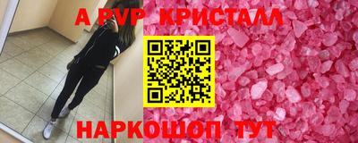 крисы Можга