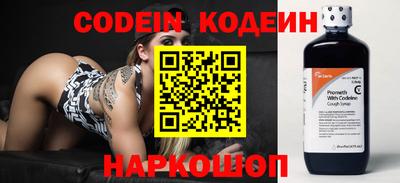 крисы Можга