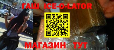 крисы Можга